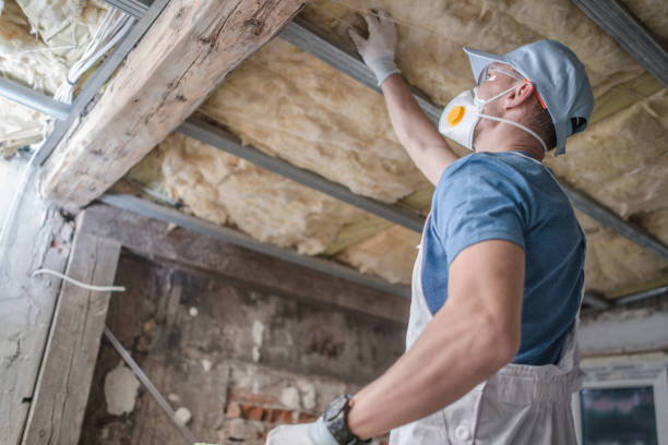 Best Cellulose Insulation in Haleiwa, HI