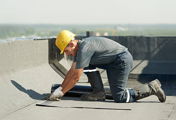 Best Residential Insulation in Haleiwa, HI