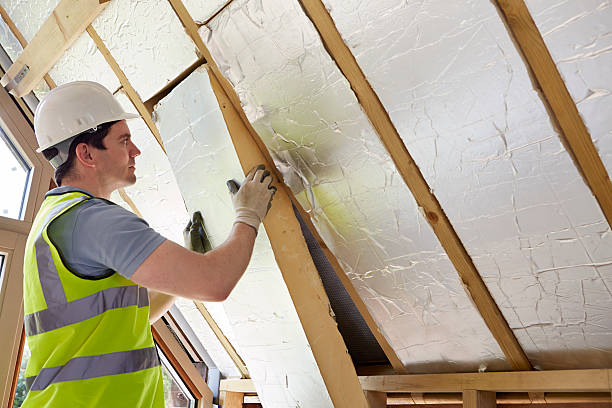 Best Spray Foam Insulation in Haleiwa, HI