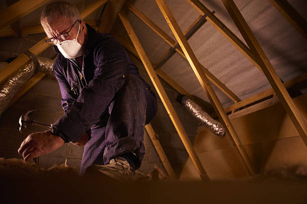 Best Eco-Friendly Insulation in Haleiwa, HI